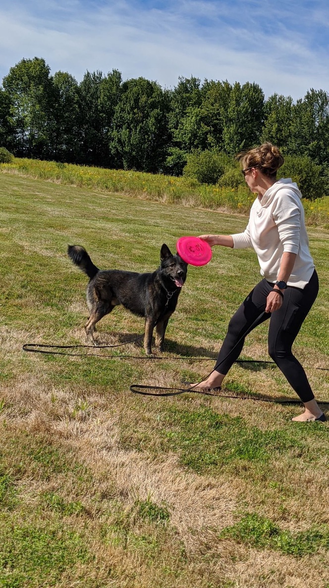 Staff member playing frisbee with German shepherd on outdoor field